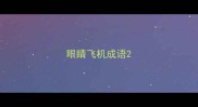 眼睛飞机成语
