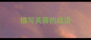 描写芙蓉的成语