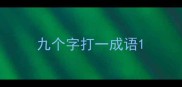 九个字打一成语