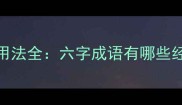 六字成语的由来与用法全六字成语有哪些经典案例及学习技巧
