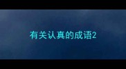 有关认真的成语