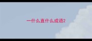 一什么直什么成语