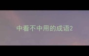 中看不中用的成语