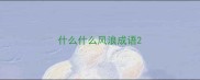 什么什么风浪成语
