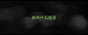曲有什么成语