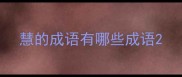 慧的成语有哪些成语