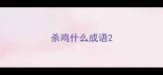 杀鸡什么成语