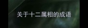 关于十二属相的成语