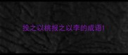 投之以桃报之以李的成语