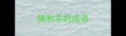猪和羊的成语