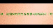择木而栖成语背后的生存智慧与职场启示附全文