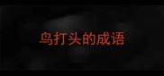鸟打头的成语