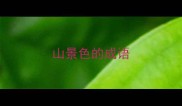 山景色的成语