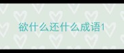 欲什么还什么成语