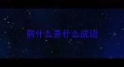弱什么弄什么成语