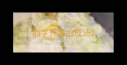 酌字开头的成语