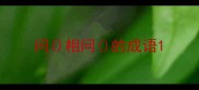 问相问的成语