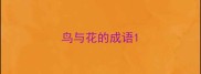 鸟与花的成语