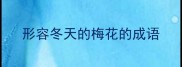 形容冬天的梅花的成语