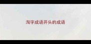 淘字成语开头的成语
