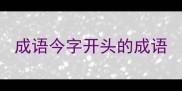 成语今字开头的成语