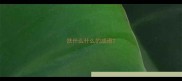 扶什么什么的成语