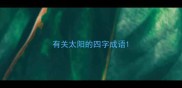 有关太阳的四字成语