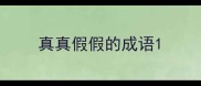 真真假假的成语