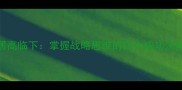 居高临下掌握战略思维的四大成功法则