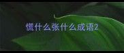 慌什么张什么成语