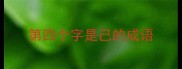 第四个字是己的成语
