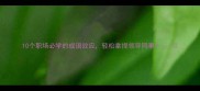 10个职场必学的成语效应轻松拿捏领导同事