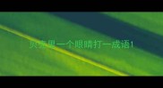 贝壳里一个眼睛打一成语