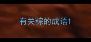 有关粽的成语