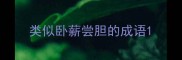 类似卧薪尝胆的成语