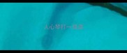 人心琴打一成语
