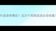 手叶成语有哪些这20个高频成语必须收藏