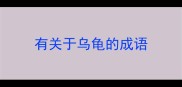 有关于乌龟的成语