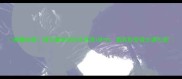 萌翻全网描写猫咪的四字成语TOP50看完秒变语文课代表