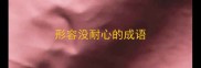形容没耐心的成语