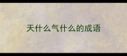 天什么气什么的成语