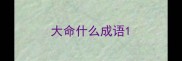 大命什么成语