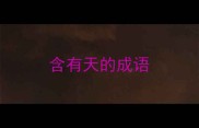 含有天的成语