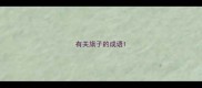 有关旗子的成语