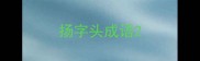 扬字头成语