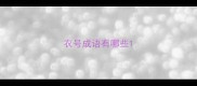 衣号成语有哪些