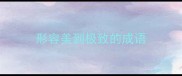 形容美到极致的成语
