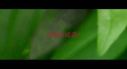 口耳木成语