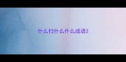 什么扫什么什么成语