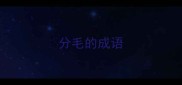 分毛的成语